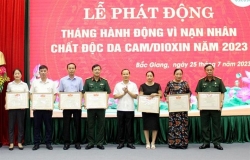 Lãnh đạo UBND tỉnh Bắc Giang trao Bằng vinh danh tấm lòng vàng vì nạn nhân chất độc da cam/dioxin. (Ảnh minh họa: TTXVN)